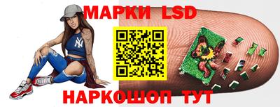 шишки Лесосибирск