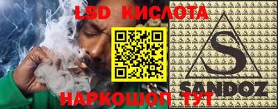 шишки Лесосибирск
