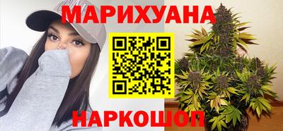 шишки Лесосибирск