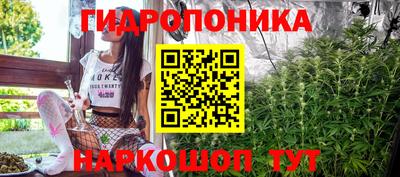 шишки Лесосибирск