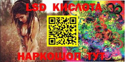 шишки Лесосибирск