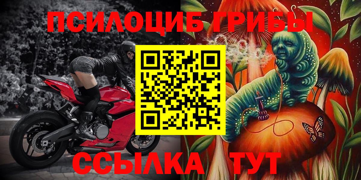 Псилоцибиновые грибы Psilocybine cubensis  Галлюциногенные грибы Cubensis  Зеленогорск  Вход с VPN 